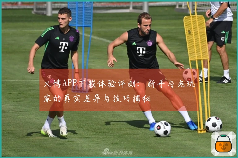 火博APP下载体验评测：新手与老玩家的真实差异与技巧揭秘