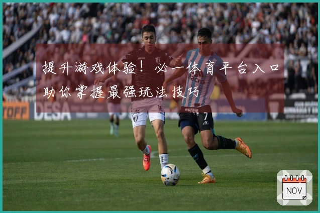 提升游戏体验！必一体育平台入口助你掌握最强玩法技巧